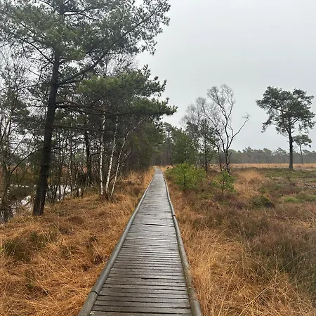 Liedtke * ביספינגן