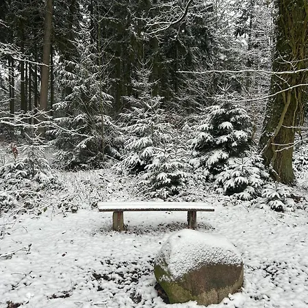 Liedtke Bispingen
