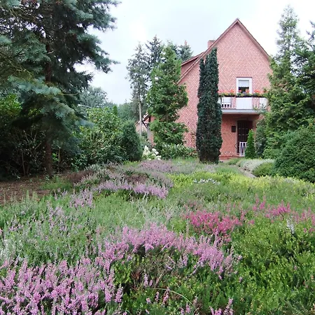 Apartment Liedtke