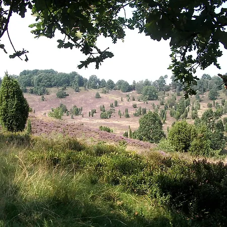 Liedtke * Bispingen